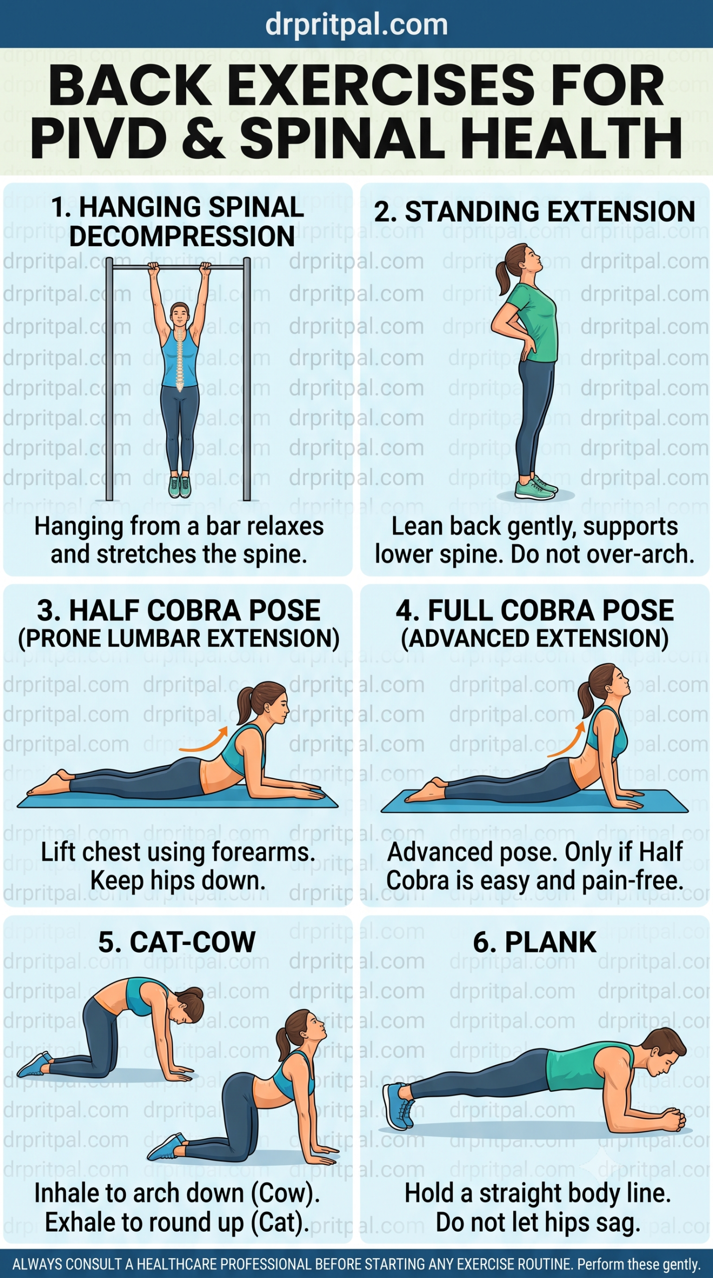 Back Exercises for PIVD and Spinal Health Infographic